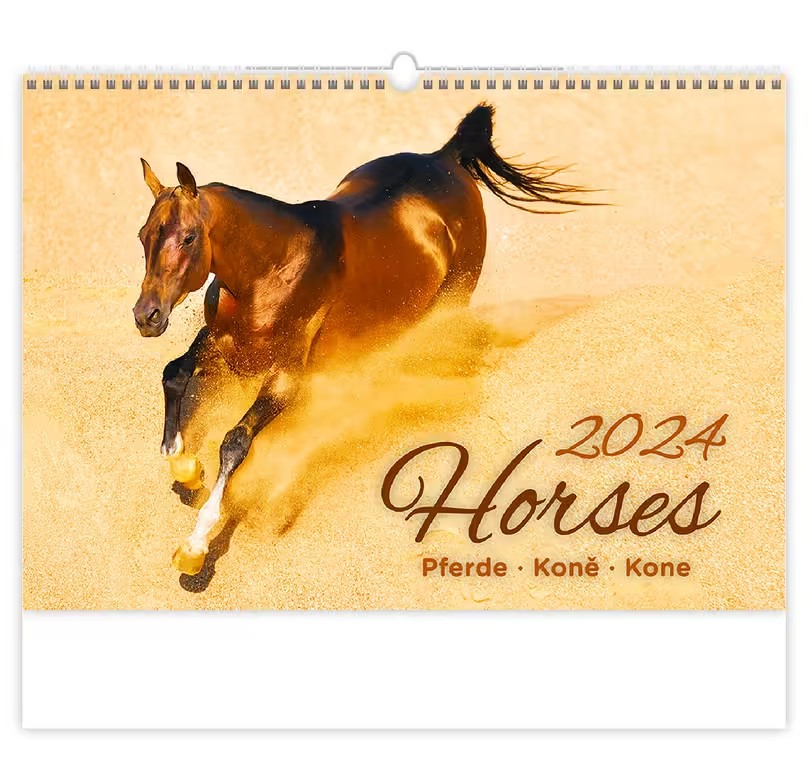 Kalendár nástenný 2024 N152-24 KONE
